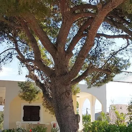 Airport Friendly House 2 *
